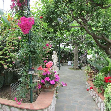 B&B Palazzo A Mare Capri Bagian luar foto