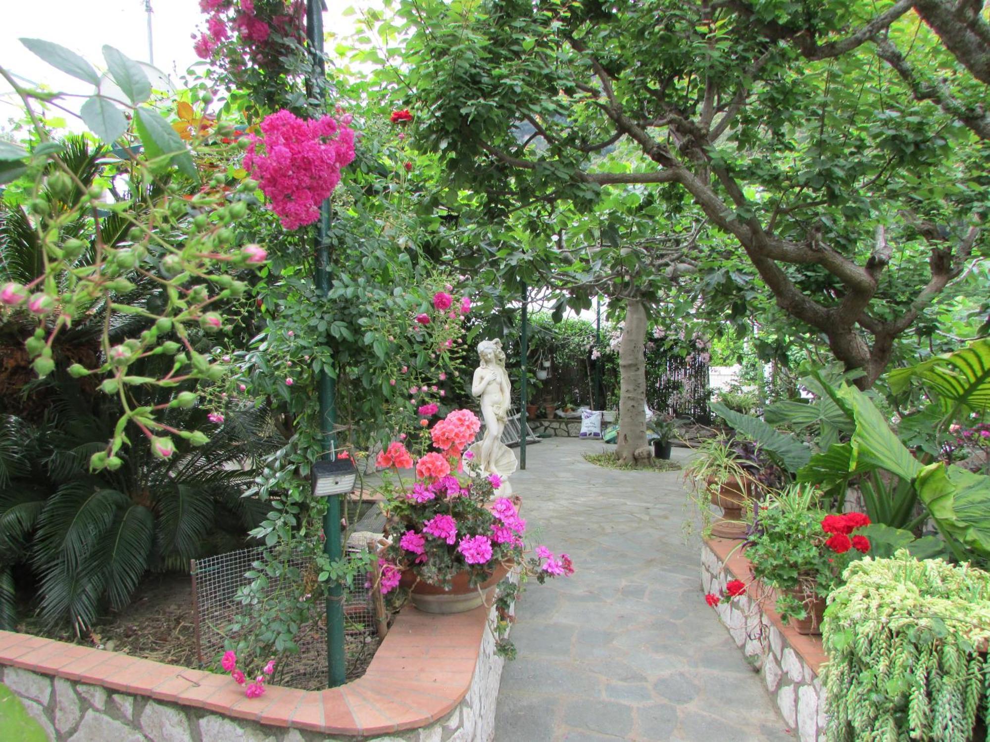 B&B Palazzo A Mare Capri Bagian luar foto