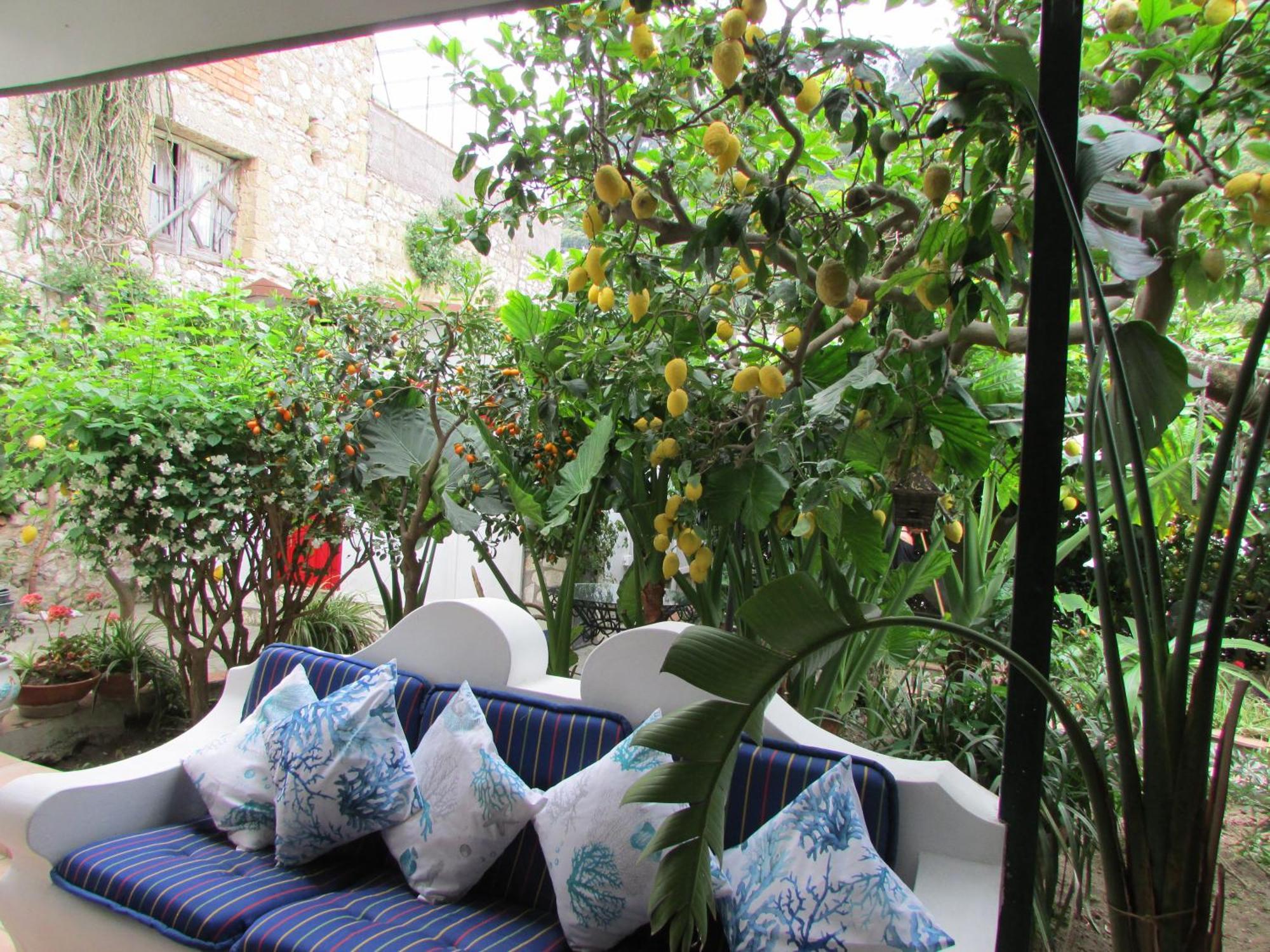 B&B Palazzo A Mare Capri Bagian luar foto